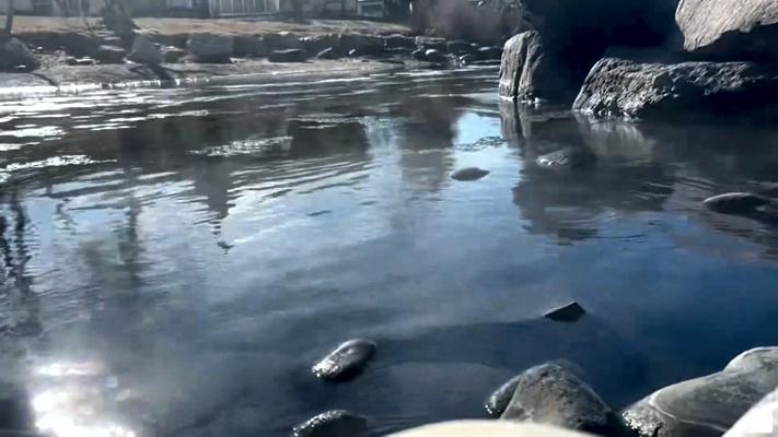 Sound Bath Audios for Guided Meditations with Sound with Olla Terve, Pagosa Springs