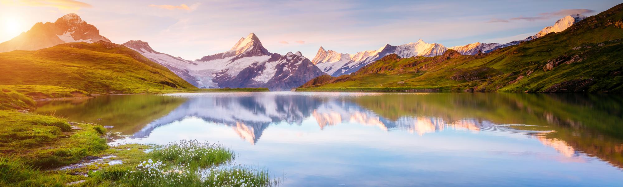 Concussions and Traumatic Brain Injury Recovery at True Self Blueprint-Olla Terve Healing Arts Page