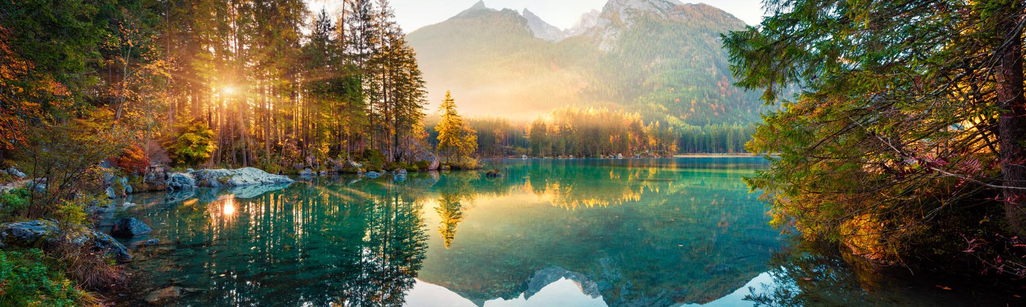 Fine-Tune Your Life with True Self Blueprint-Olla Terve Healing Arts