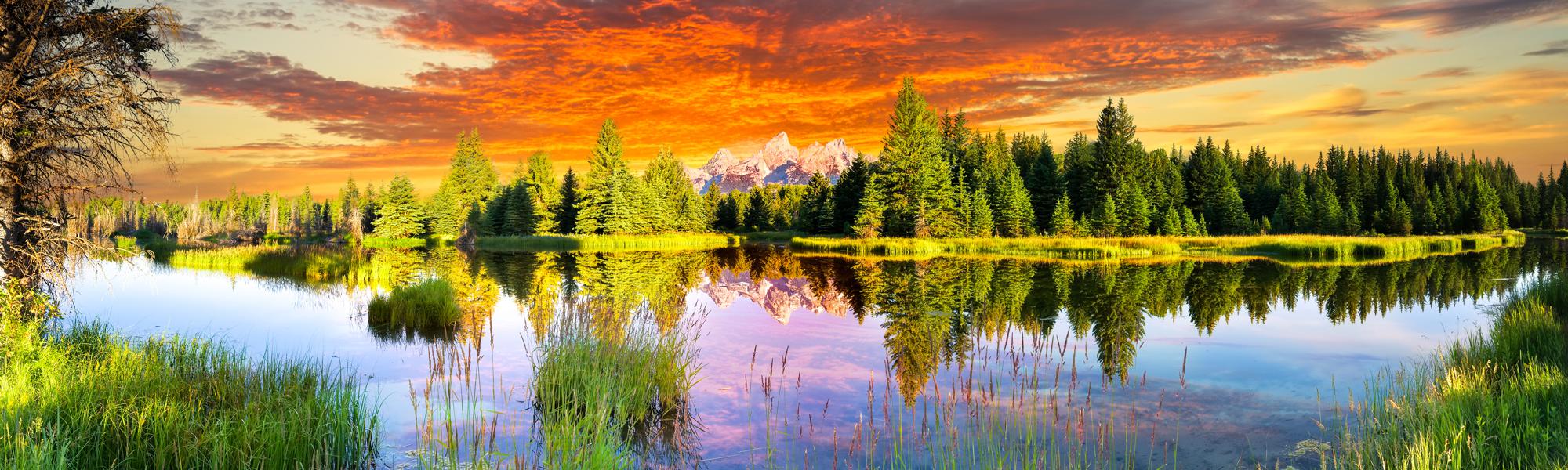 Scar Release at True Self Blueprint-Olla Terve Healing Arts Page