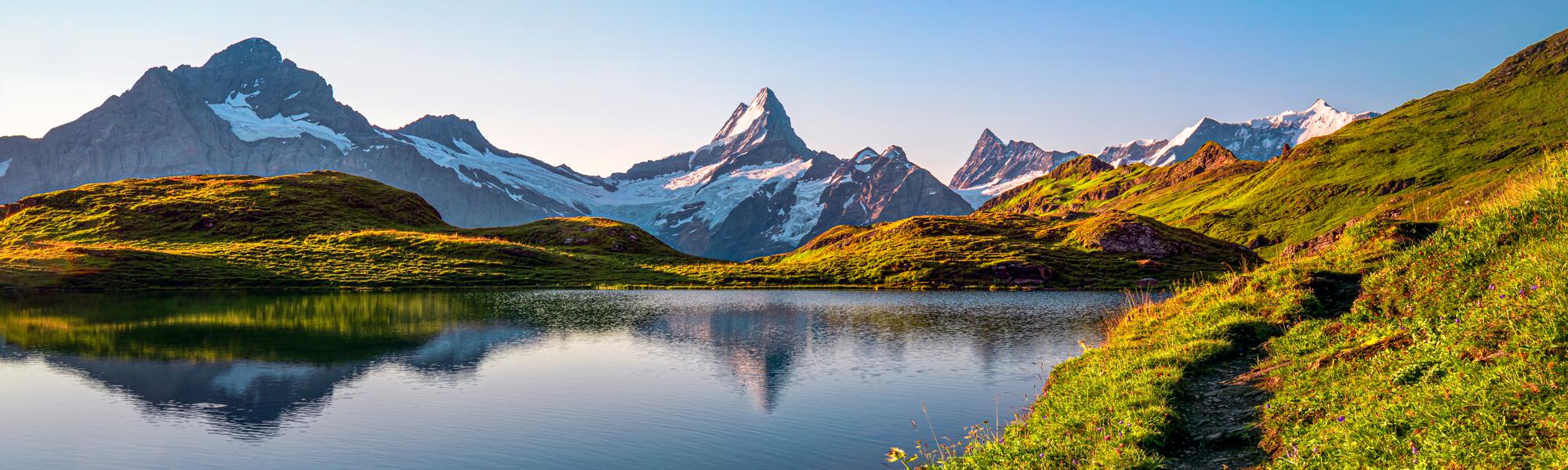 MPS Therapy at True Self Blueprint-Olla Terve Healing Arts Page