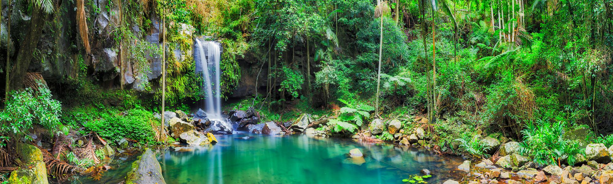 Specialized Raindrop Technique at True Self Blueprint-Olla Terve Healing Arts Page