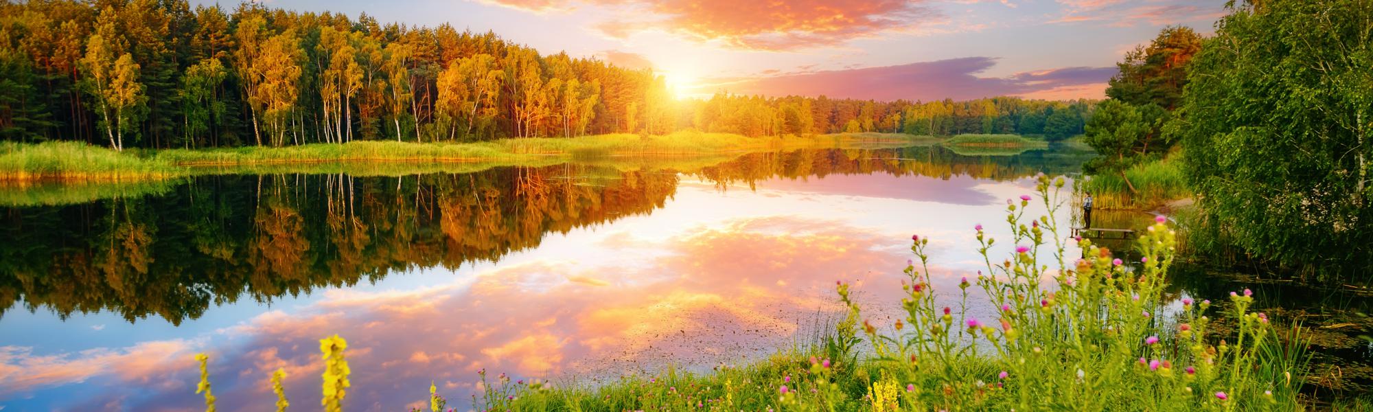 Spinal Flow Technique at True Self Blueprint-Olla Terve Healing Arts Page