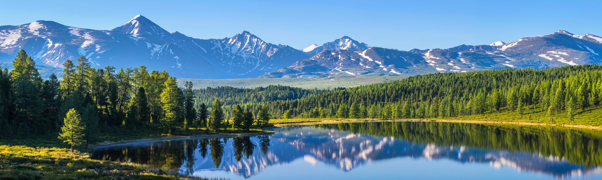 True Self Coaching at True Self Blueprint-Olla Terve Healing Arts Page